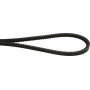 Courroie OPTIBELT AVX10913