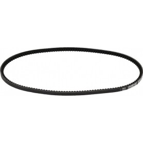 Courroie OPTIBELT AVX10900