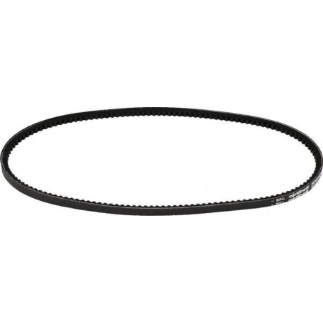 Courroie OPTIBELT AVX10900