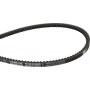 Courroie OPTIBELT AVX101165