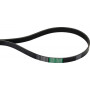 Courroie OPTIBELT AT262958AB
