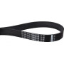 Courroie OPTIBELT 9PJ914