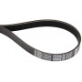 Courroie OPTIBELT 8PL1664