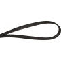 Courroie OPTIBELT 8PK1715