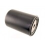 Filtro combustible Ruggerini 175-19