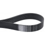 Courroie OPTIBELT 87301964AB
