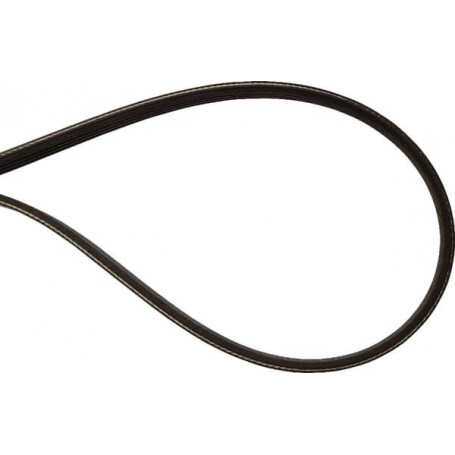 Courroie OPTIBELT 84818008AB