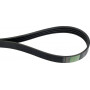 Courroie OPTIBELT 84817631AB