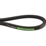 Courroie OPTIBELT 84817625AB