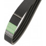 Courroie OPTIBELT 84817623AB