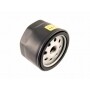 Filtro carburante LOMBARDINI - RUGGERINI 175-23 - 17523