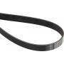 Courroie OPTIBELT 82850751AB