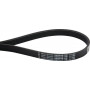 Courroie OPTIBELT 6PJ864