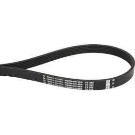 Courroie OPTIBELT 6PJ813