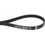 Courroie OPTIBELT 6PJ813