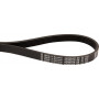 Courroie OPTIBELT 6PJ723