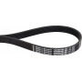 Courroie OPTIBELT 6PJ559