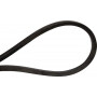 Courroie OPTIBELT 621258M1AB