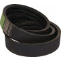 Courroie OPTIBELT 619327M1AB