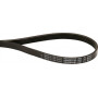 Courroie OPTIBELT 5PJ864