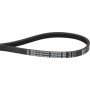 Courroie OPTIBELT 4PJ914