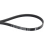 Courroie OPTIBELT 4PJ813