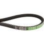 Courroie OPTIBELT 4274692M91AB