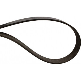 Courroie OPTIBELT 31302076AB