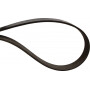 Courroie OPTIBELT 31302076AB