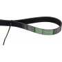 Courroie OPTIBELT 243372A1AB