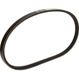 Courroie OPTIBELT 1541569C1AB