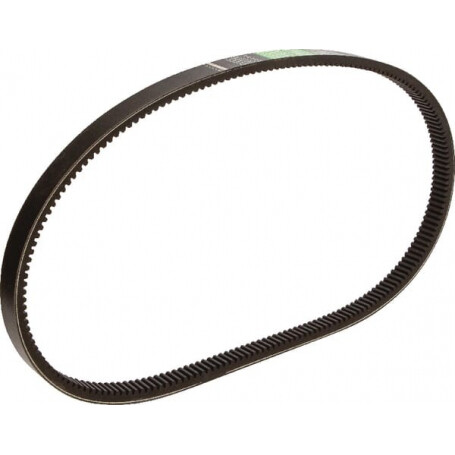 Courroie OPTIBELT 1541569C1AB