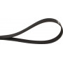 Courroie OPTIBELT 10PJ965
