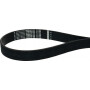 Courroie OPTIBELT 10PJ1428
