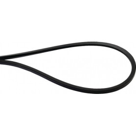 Courroie OPTIBELT 0005540931AB