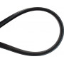 Courroie MURRAY 701296YP