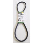 Courroie MURRAY 37X66