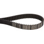 Courroie MTD 100000900
