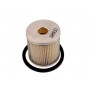 Filtro Carburant LOMBARDINI 273-2175-009