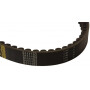 Courroie crantée OPTIBELT 80446970AB
