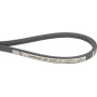 Courroie AL-KO AK701639