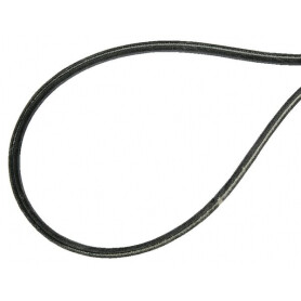 Courroie AGRIA AGW75377