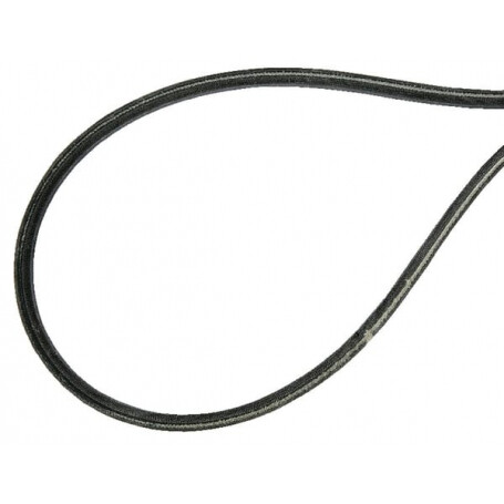 Courroie AGRIA AGW75377