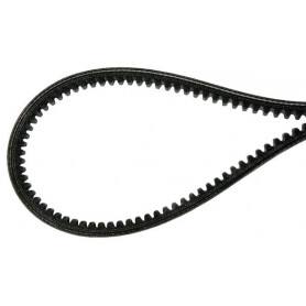 Courroie AGRIA AGW48175