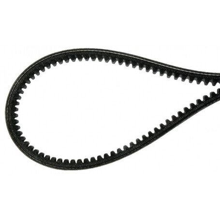 Courroie AGRIA AGW48175