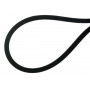 Courroie AGRIA AGW48174