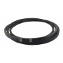 Courroie MTD 000.75.559