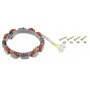 Alternateur BRIGGS ET STRATTON 696579
