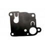 Membrana BRIGGS et STRATTON 270253