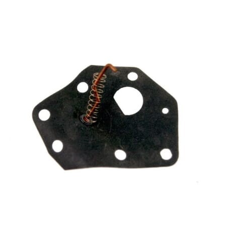 Membrana BRIGGS et STRATTON 299637